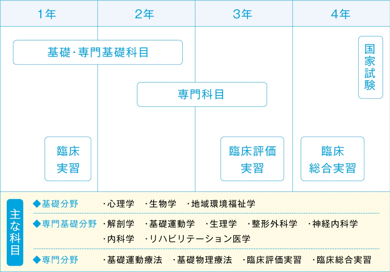 理学療法科カリキュラム