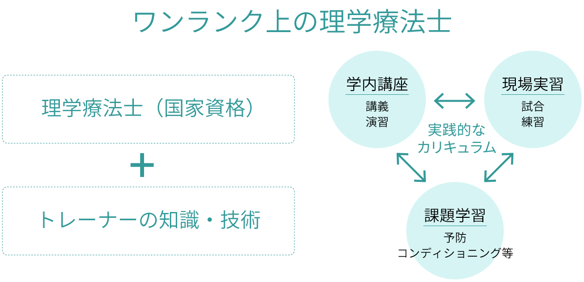 ワンランク上の理学療法士